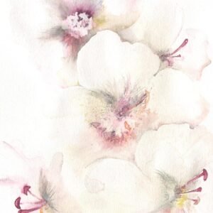 Original watercolour painting by Karen Shaw for home or business