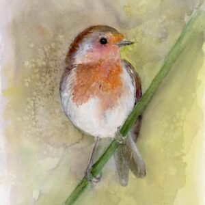 Original watercolour painting by Karen Shaw for home or business robin