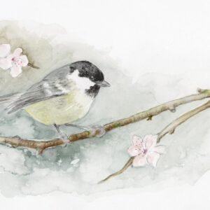 Original watercolour painting by Karen Shaw for home or business bird